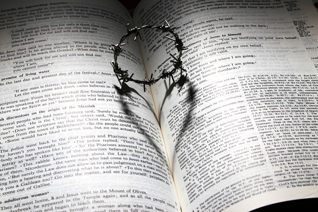 Conoce al hombre más longevo de la Biblia
