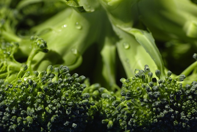 Alimentos saludables según la Biblia: verduras, cereales y legumbres