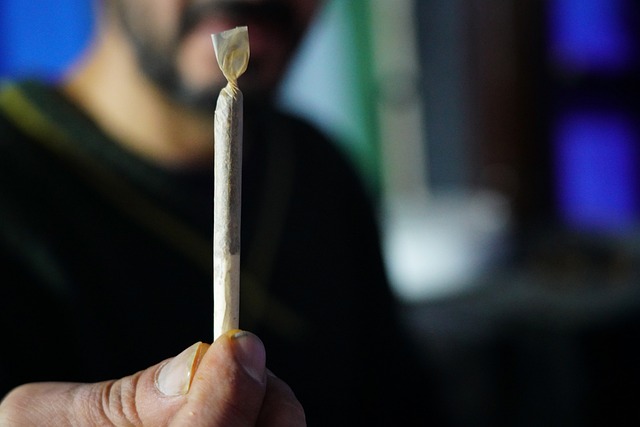 Descubre la verdad detrás del uso de la marihuana en la religión