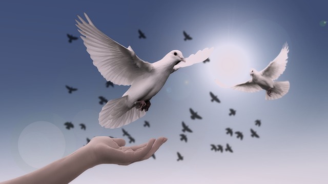 Oración de la noche con el Salmo 91 de la Biblia Católica