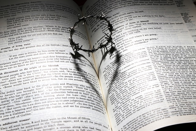 A la puerta de tu corazón: La Biblia Católica te llama