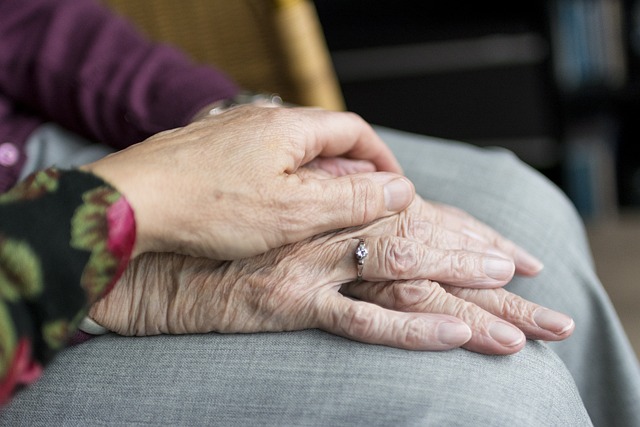 Honra a tu padre y a tu madre: El valor de la familia en la Biblia