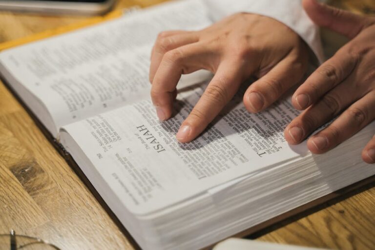 Qué significa Moises en la Biblia